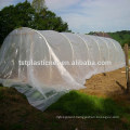 6 mil PE plastic sheet/film for greenhouse top cover